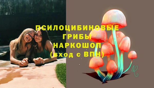 дурь Нязепетровск