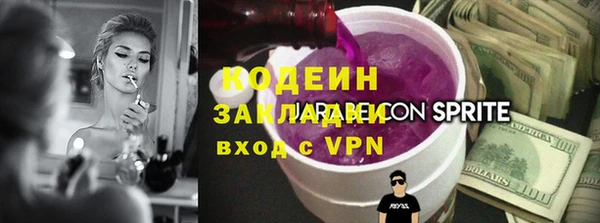 шишки Новозыбков