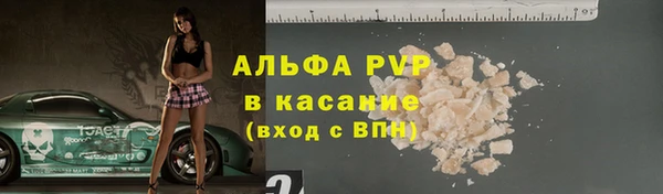 шишки Новозыбков