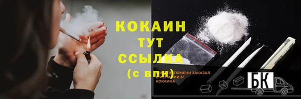 шишки Новозыбков