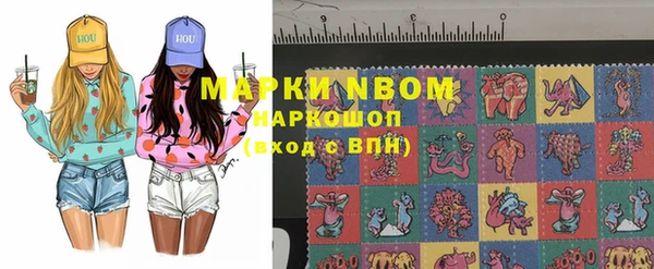 шишки Новозыбков