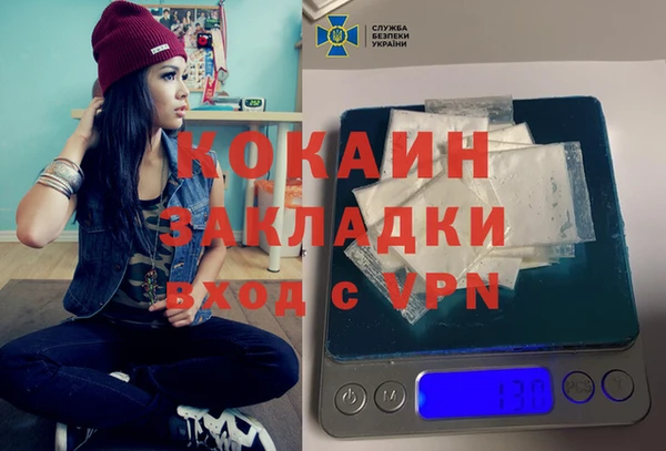 шишки Новозыбков