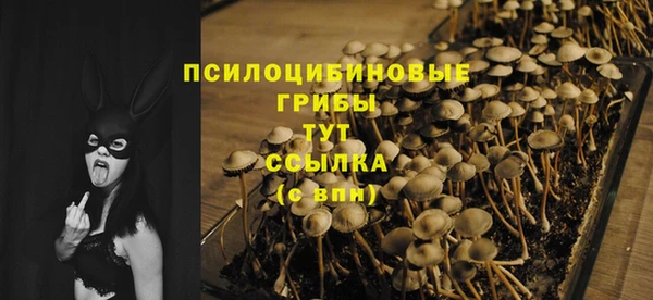 МДПВ Нягань