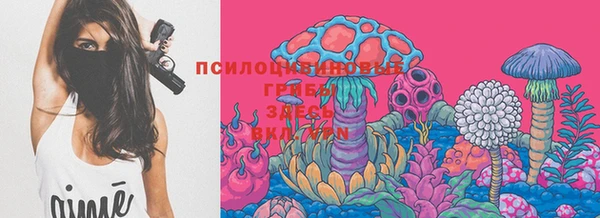 МДПВ Нягань