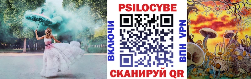 Галлюциногенные грибы MAGIC MUSHROOMS купить наркоту omg рабочий сайт Зея